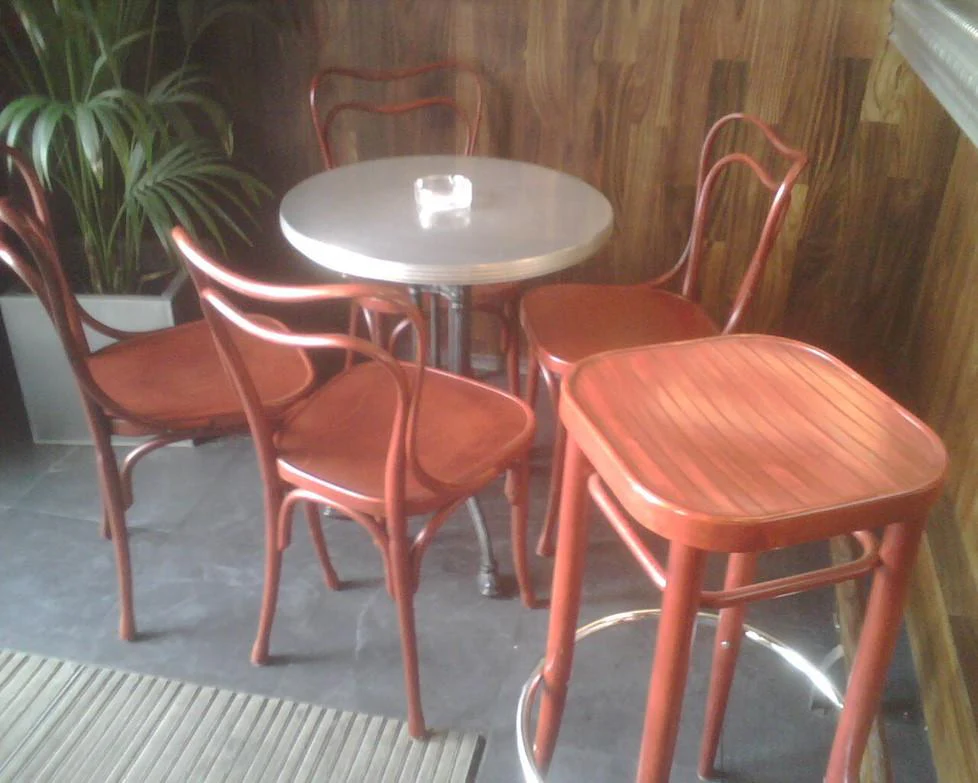 Adolf Loos Cafe Museum Bentwood Side Chair by GTV - Image 9