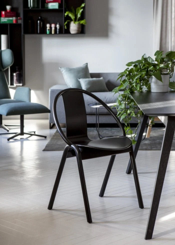 Again Bentwood Chair by Ton - Image 39