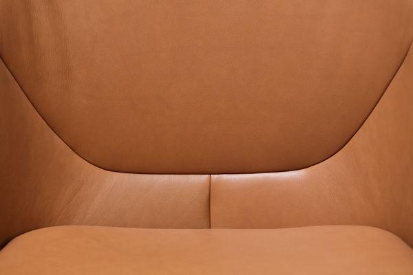 Albu Lounge Chair by Ton - Image 12