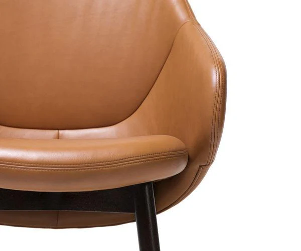 Albu Lounge Chair by Ton - Image 13