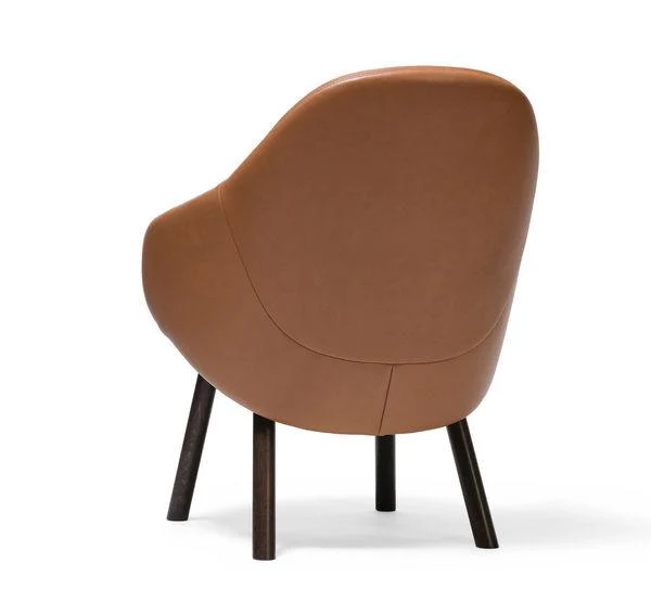 Albu Lounge Chair by Ton - Image 18