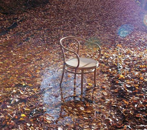 August Thonet No. 30 Bentwood Chair by Ton - Image 20