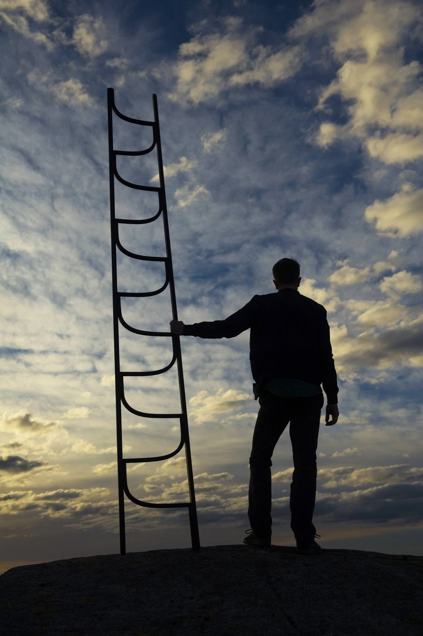 Bentwood Ladder by GTV - Image 16
