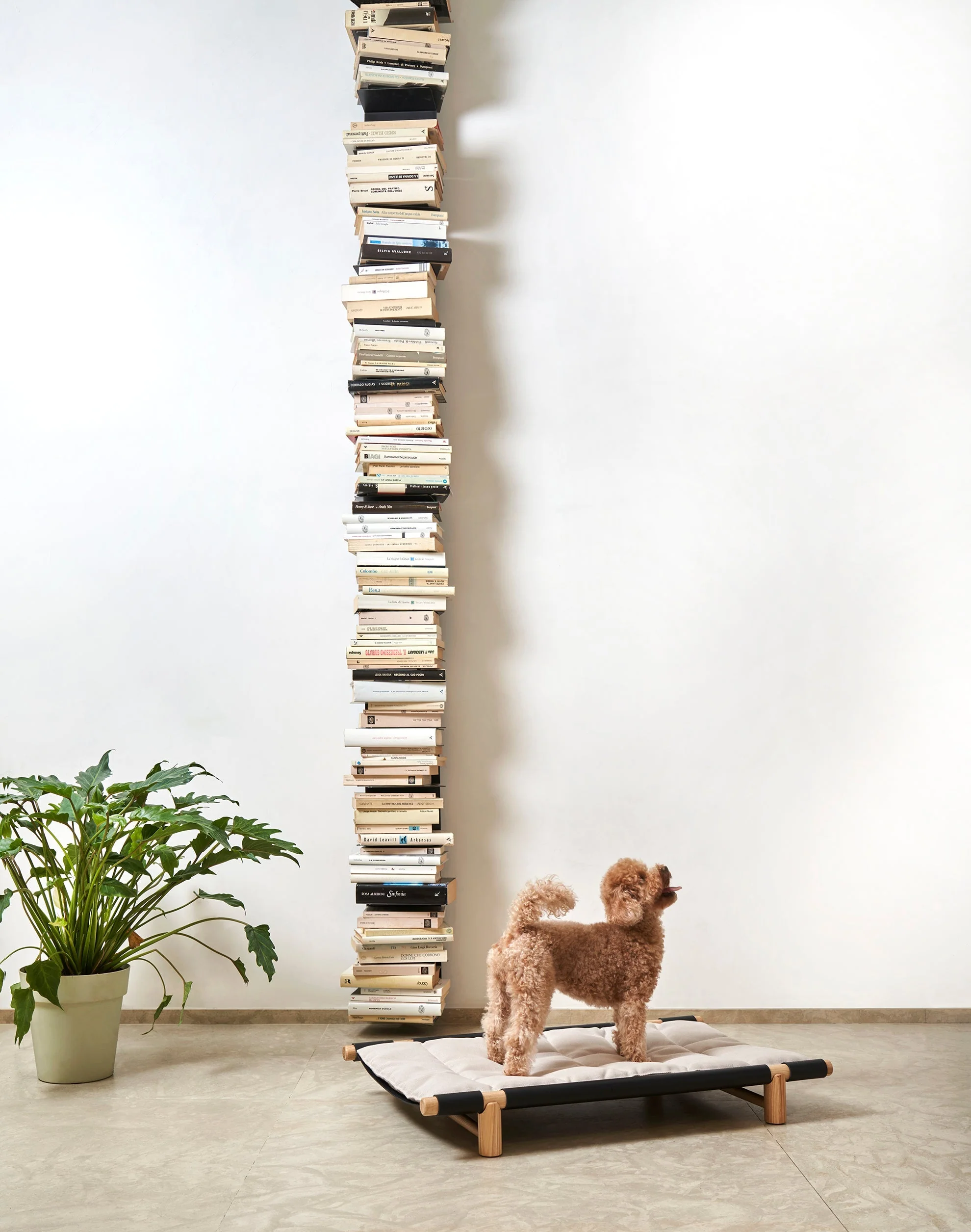 Berbere Transportable Dog Bed by Opinion Ciatti - Image 10