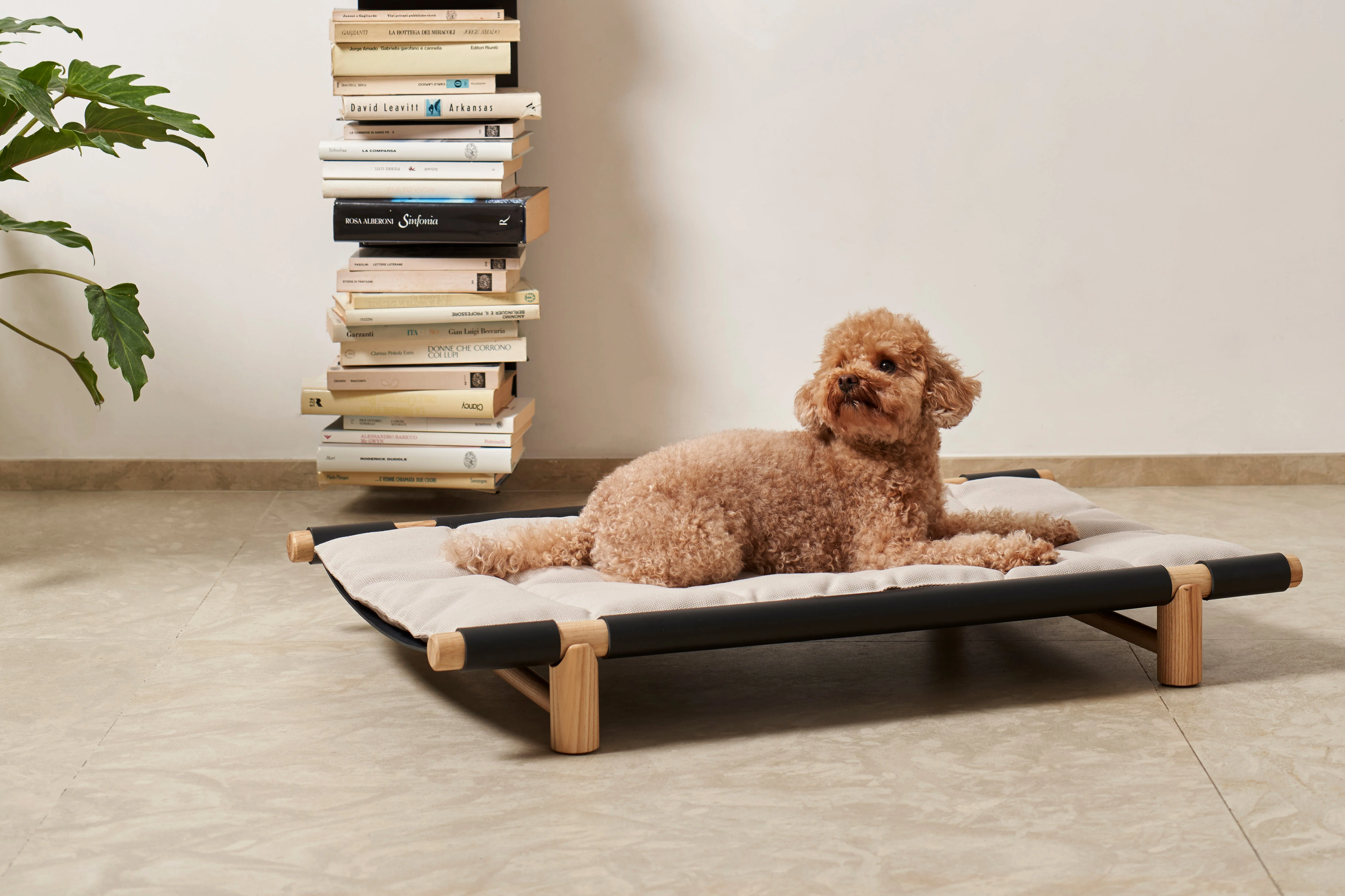 Berbere Transportable Dog Bed by Opinion Ciatti - Image 13