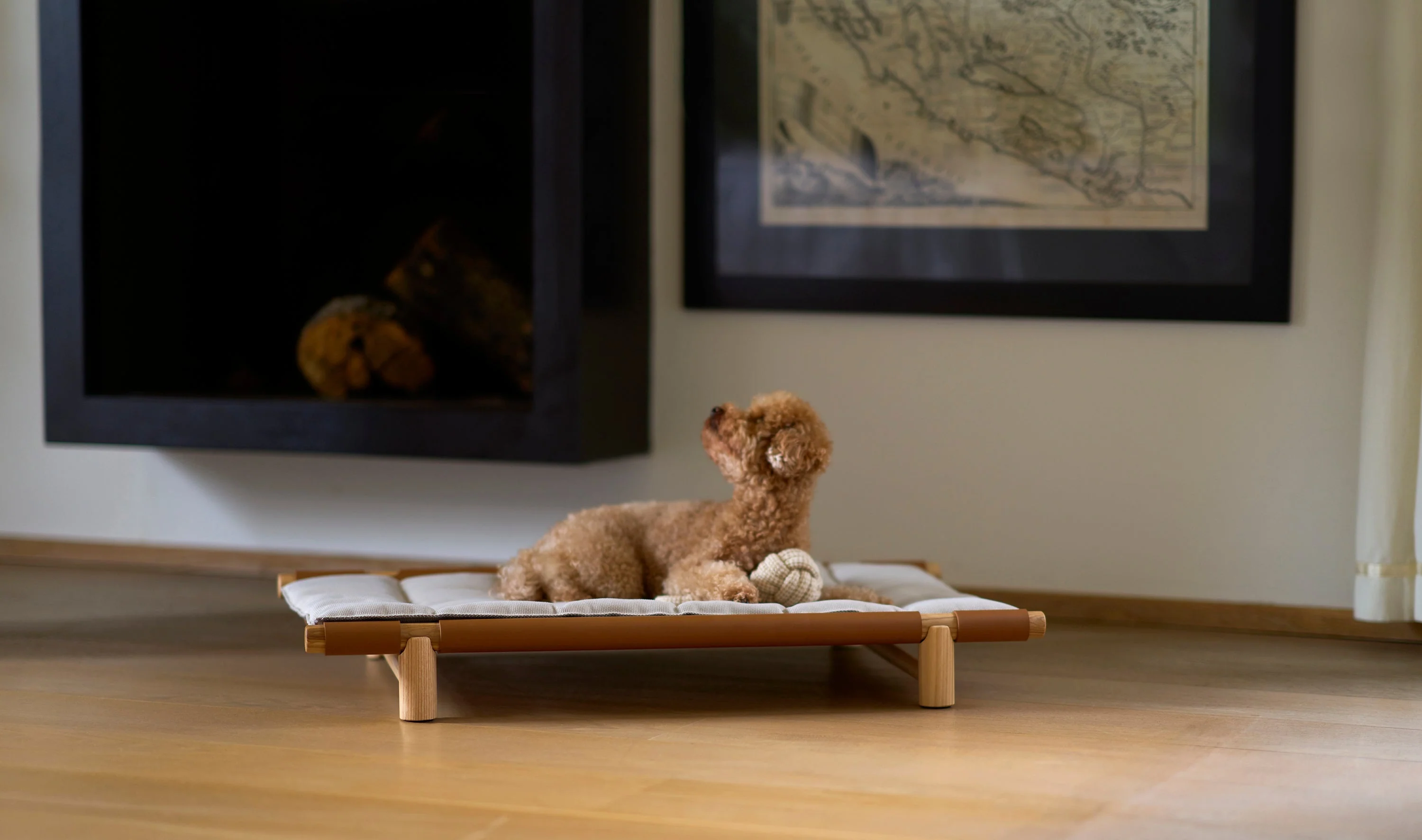 Berbere Transportable Dog Bed by Opinion Ciatti - Image 14