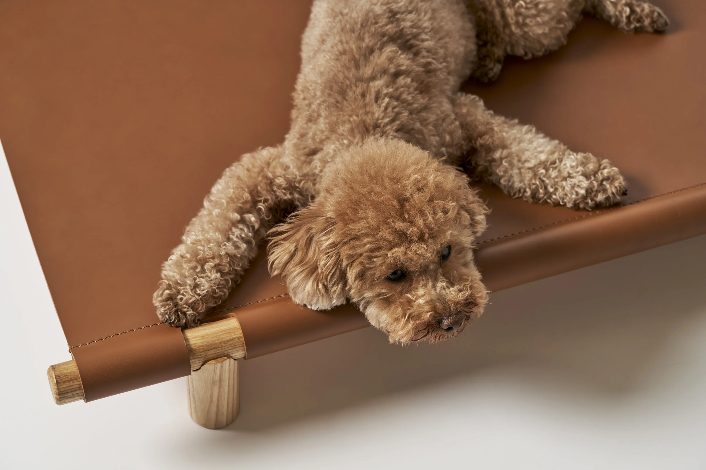 Berbere Transportable Dog Bed by Opinion Ciatti - Image 17