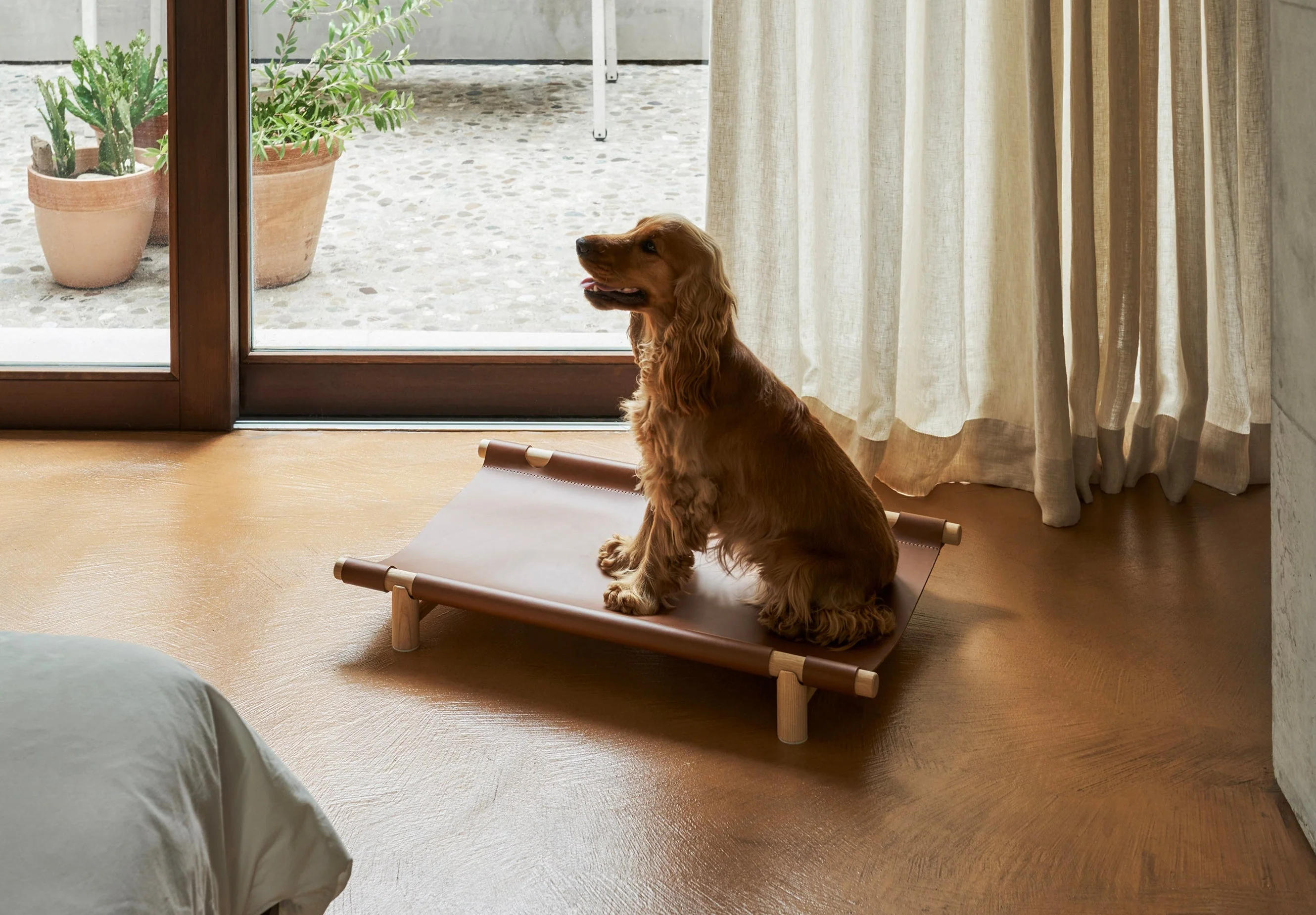 Berbere Transportable Dog Bed by Opinion Ciatti - Image 20