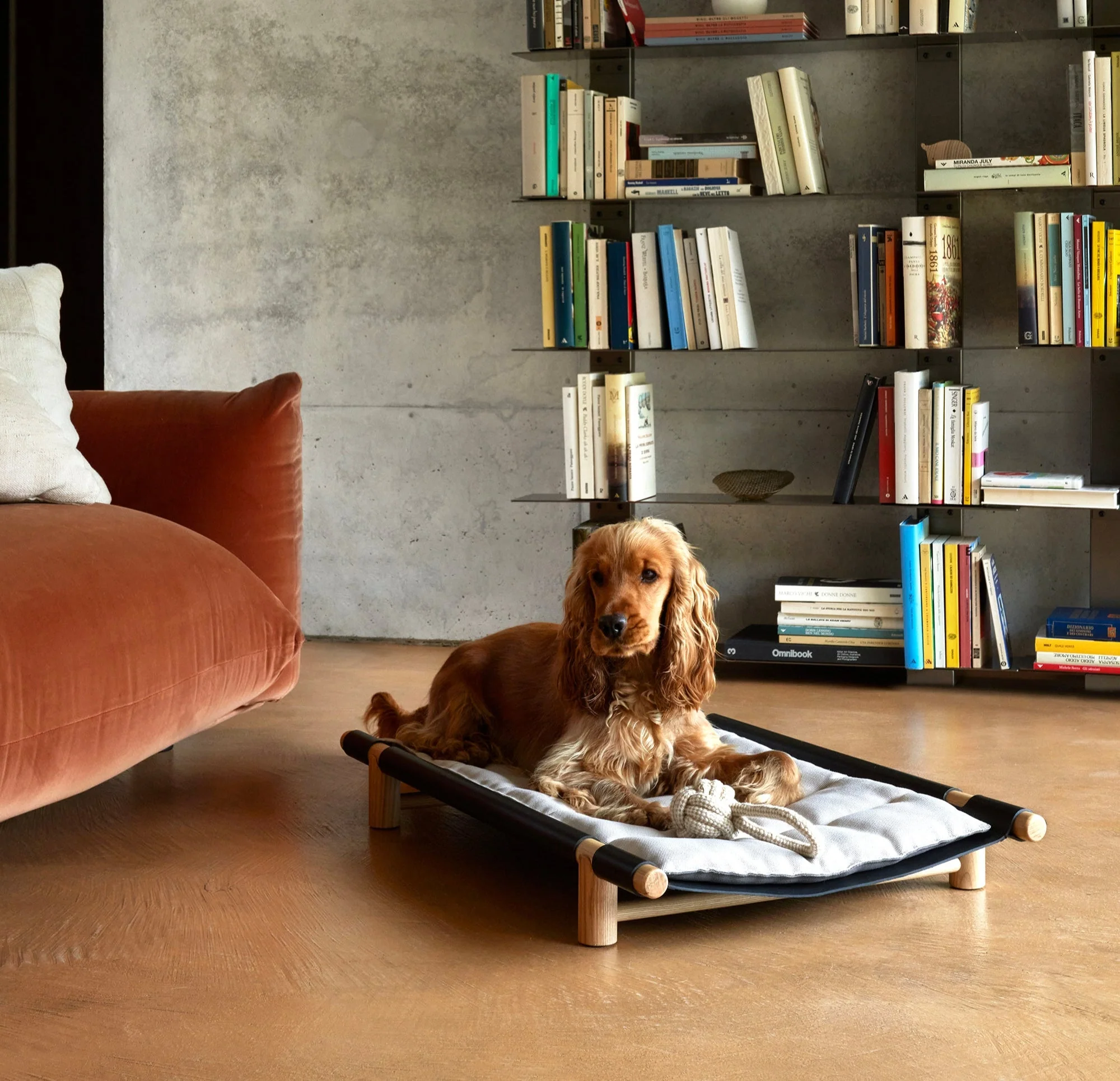 Berbere Transportable Dog Bed by Opinion Ciatti - Image 21