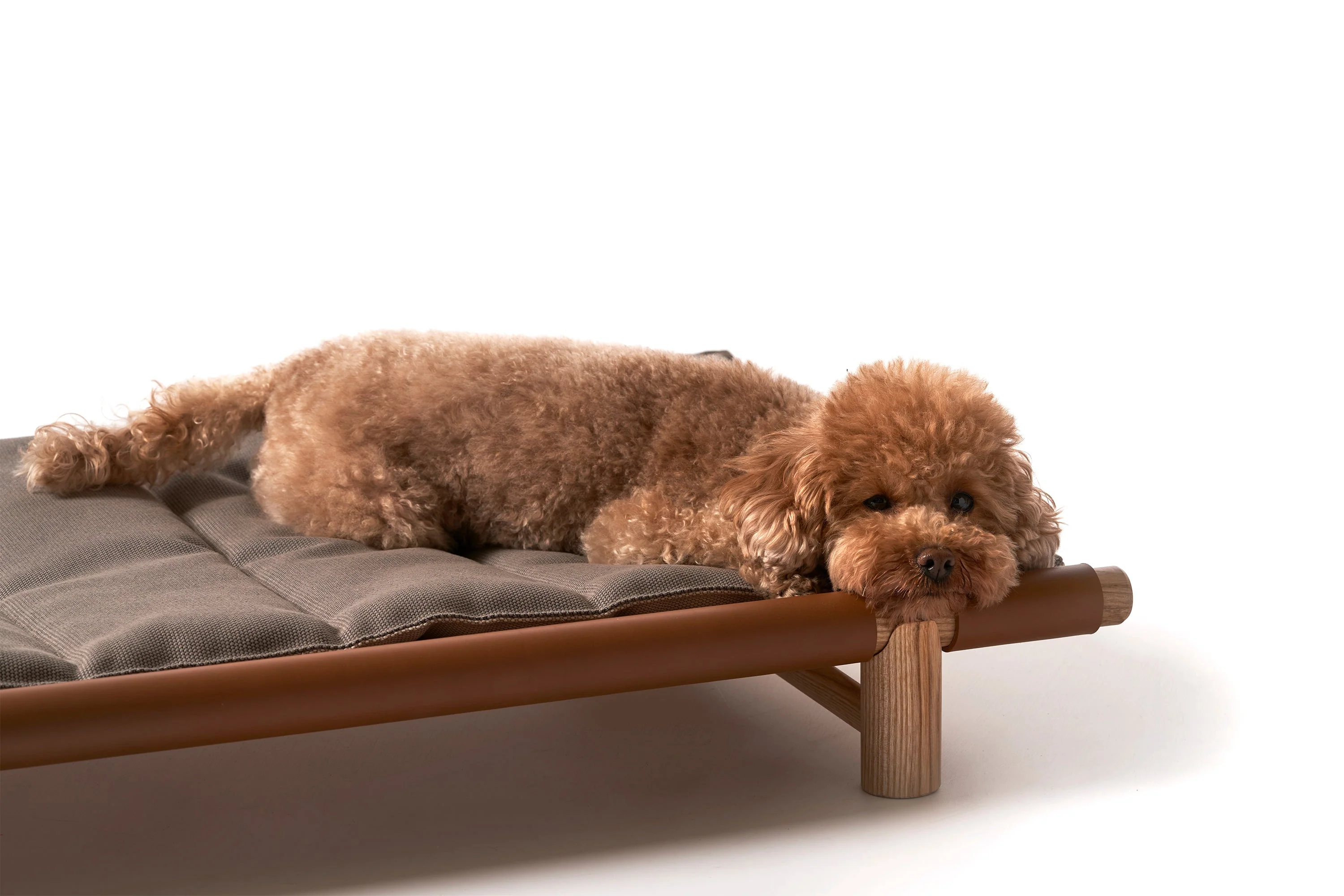 Berbere Transportable Dog Bed by Opinion Ciatti - Image 5