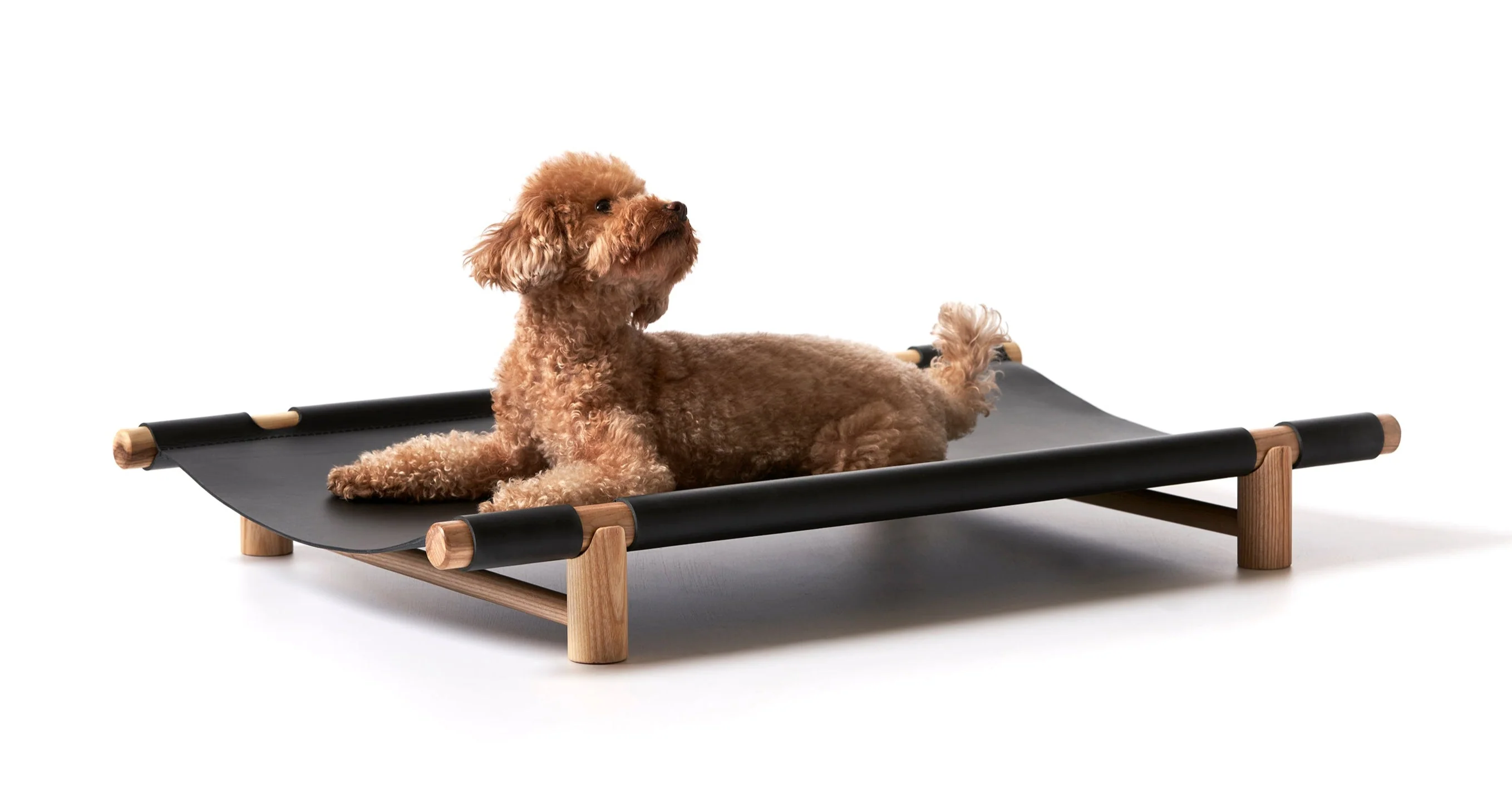 Berbere Transportable Dog Bed by Opinion Ciatti - Image 7