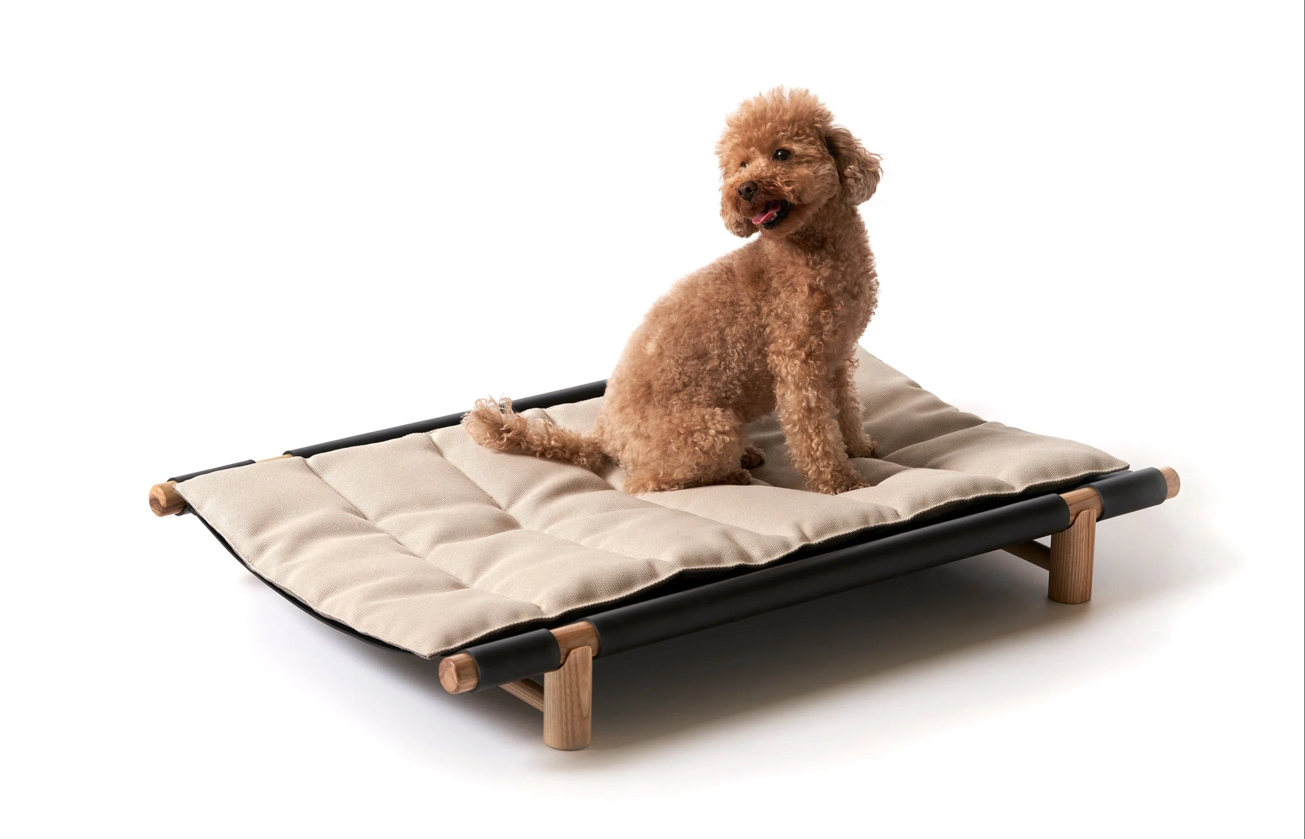 Berbere Transportable Dog Bed by Opinion Ciatti - Image 8