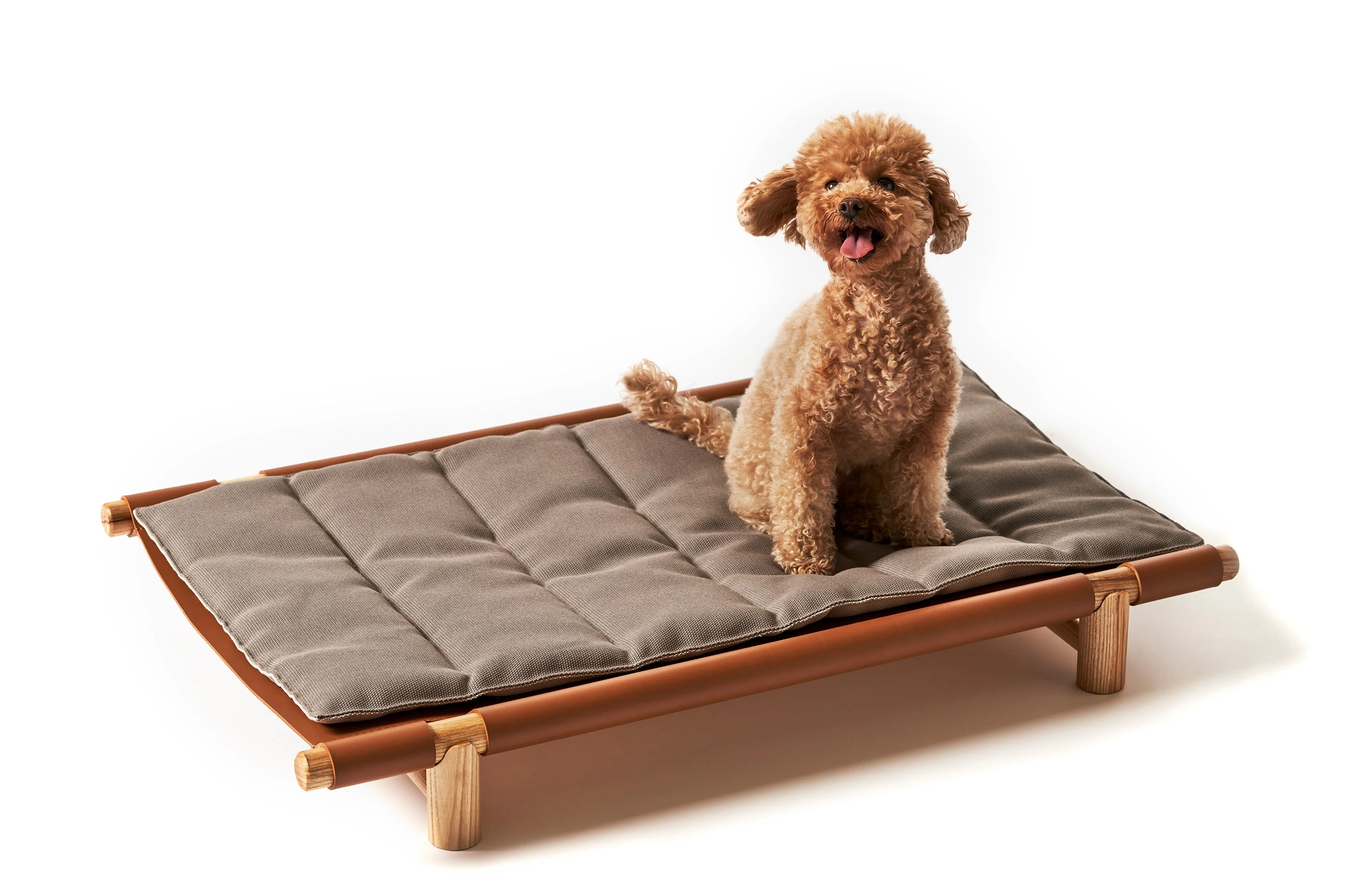 Berbere Transportable Dog Bed by Opinion Ciatti - Image 9