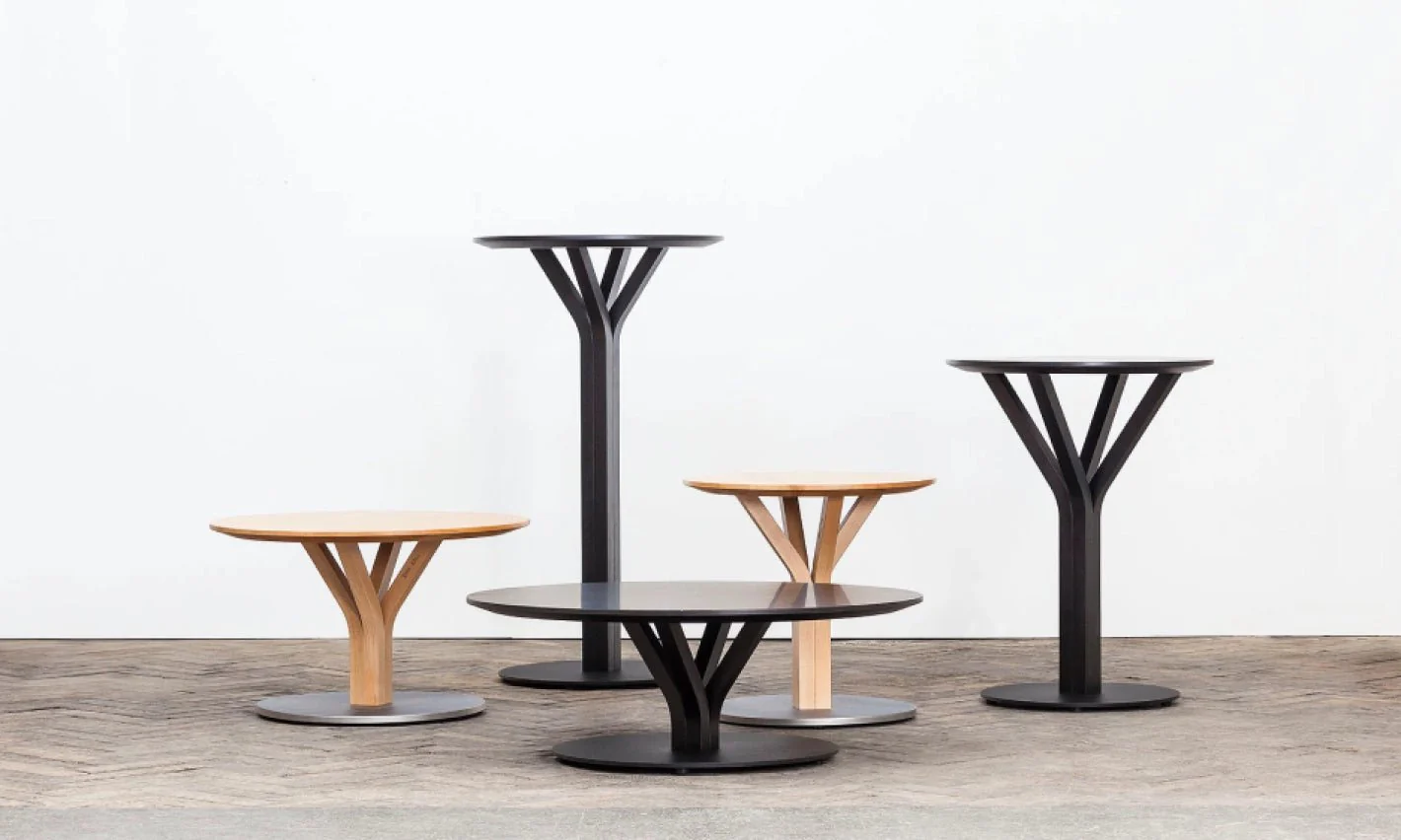 Bloom Bentwood Coffee Table by Ton - Image 13