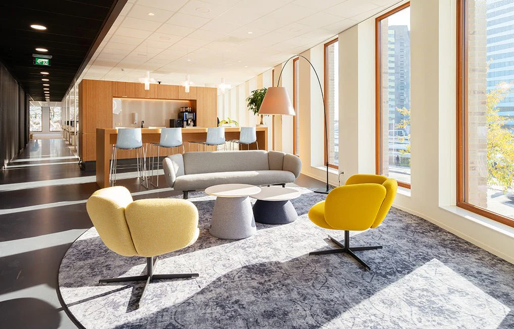 Bras Sofa by Artifort - Image 19