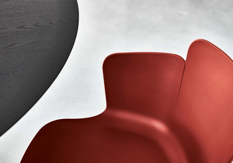 Calla P L_C PP  Side Chair by Midj - Image 2