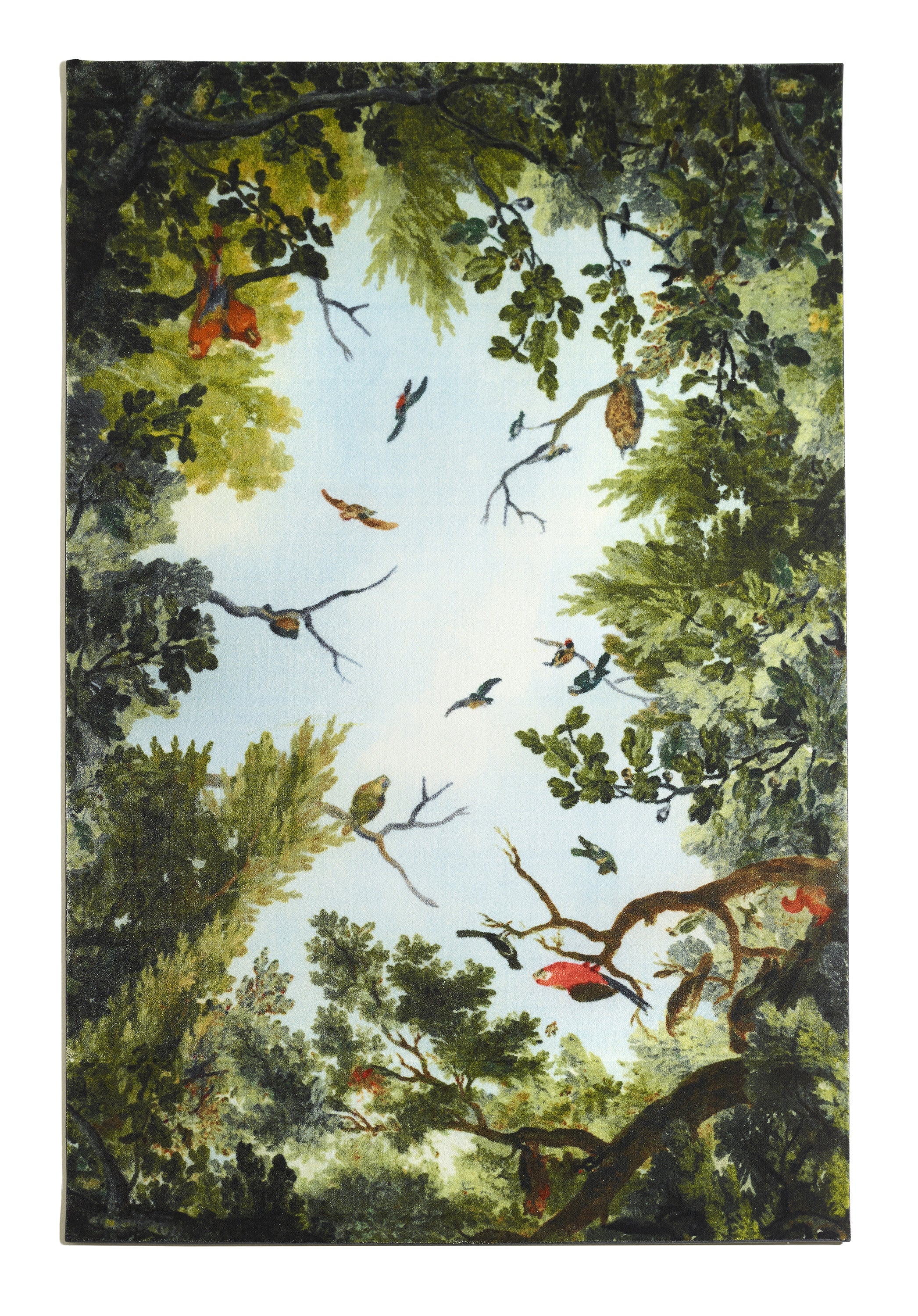 Cielo Carpet by Opinion Ciatti
