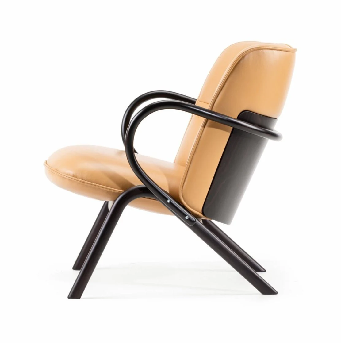 Cissy Low-Back Lounge Chair by Ton - Image 10