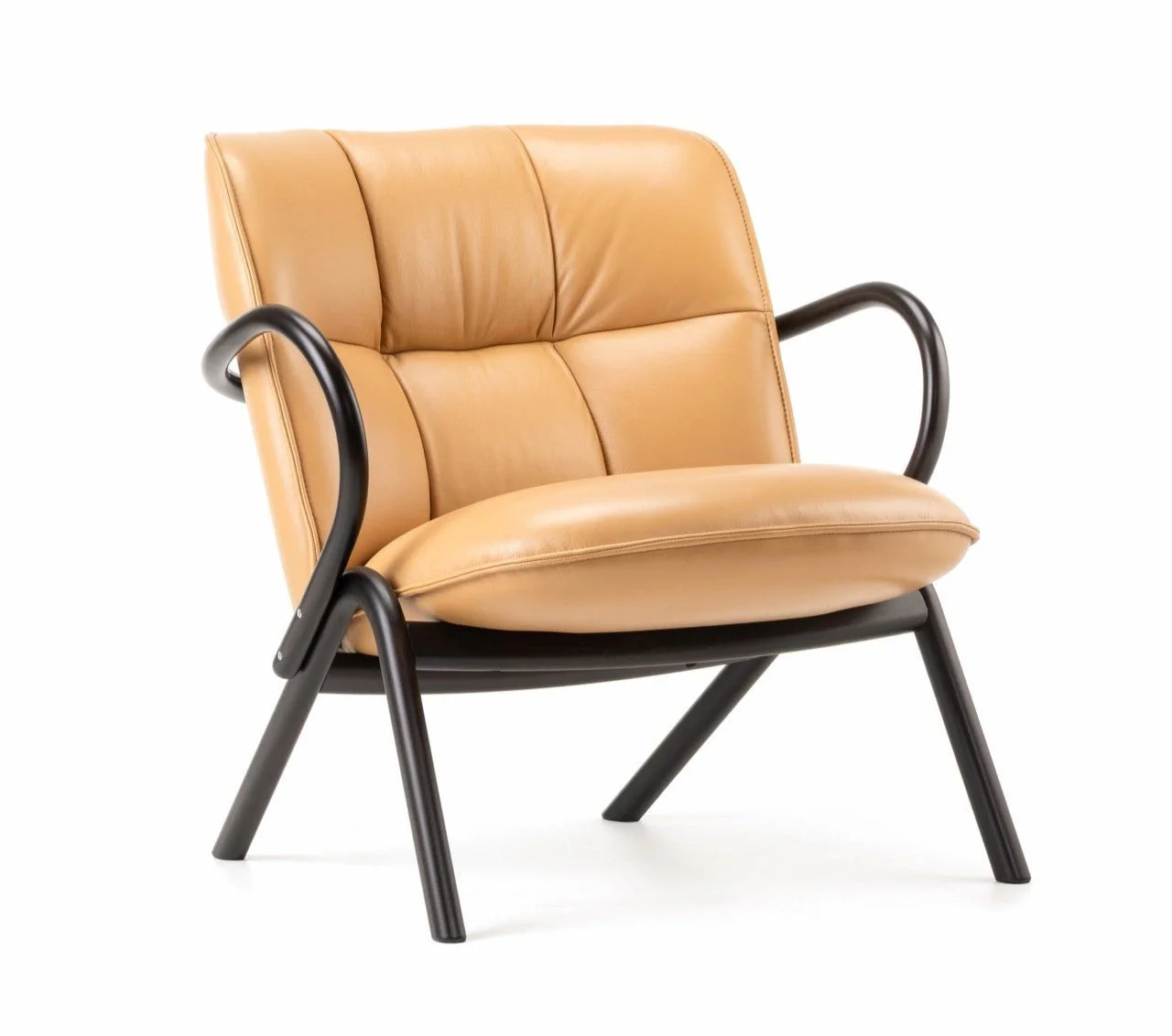 Cissy Low-Back Lounge Chair by Ton - Image 9