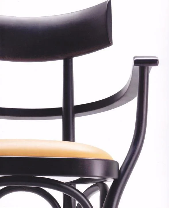 Czech Bentwood Armchair (Upholstered) by GTV - Image 2