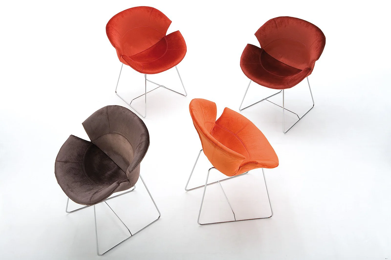 Daisy Chair by Giovannetti - Image 3