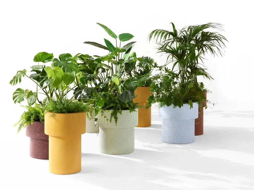 Erasmo Vase by CIMENTO® - Image 2