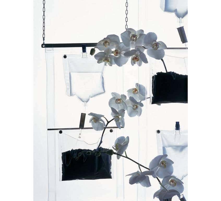 Erbale Plant Holder by Driade - Image 3