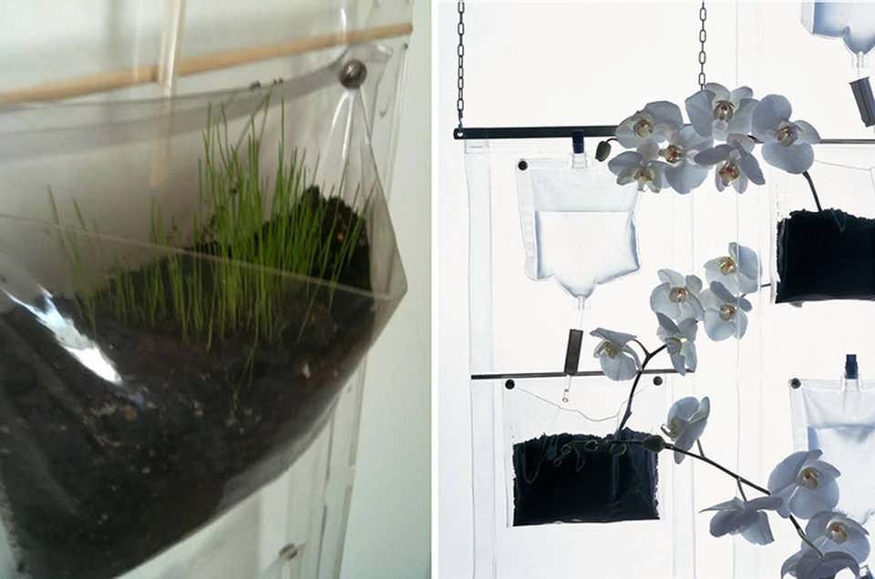 Erbale Plant Holder by Driade - Image 4
