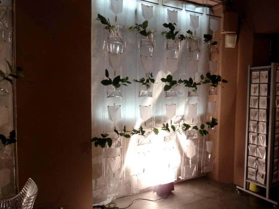 Erbale Plant Holder by Driade - Image 8