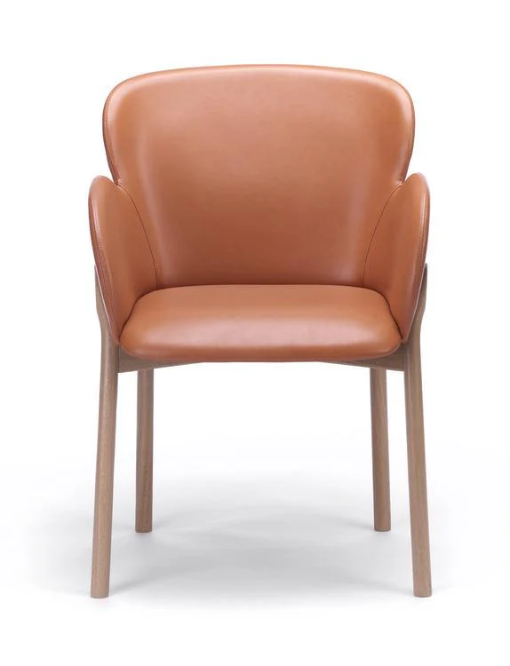 Ginger Armchair by Ton - Image 6