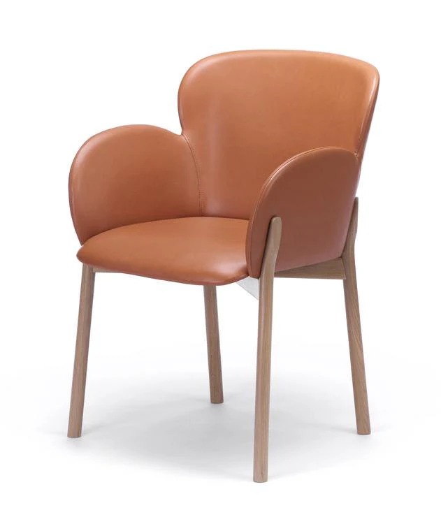 Ginger Armchair by Ton - Image 7