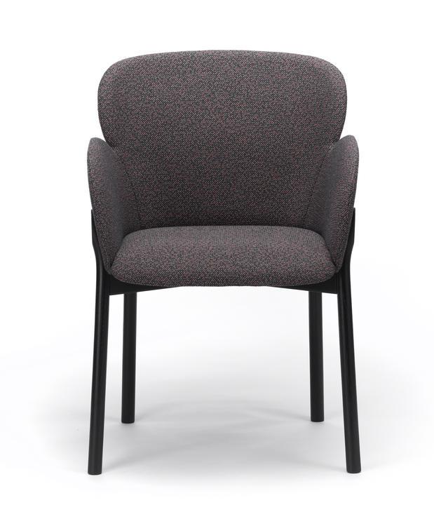 Ginger Armchair by Ton - Image 8