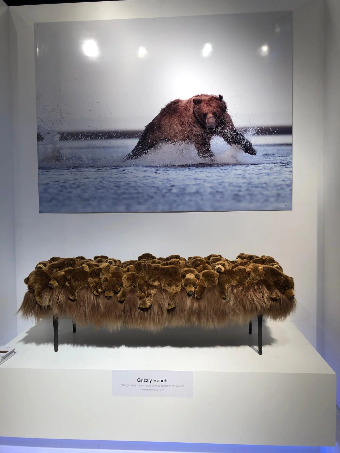 Grizzly Nest Bench by AP Collection - Image 5