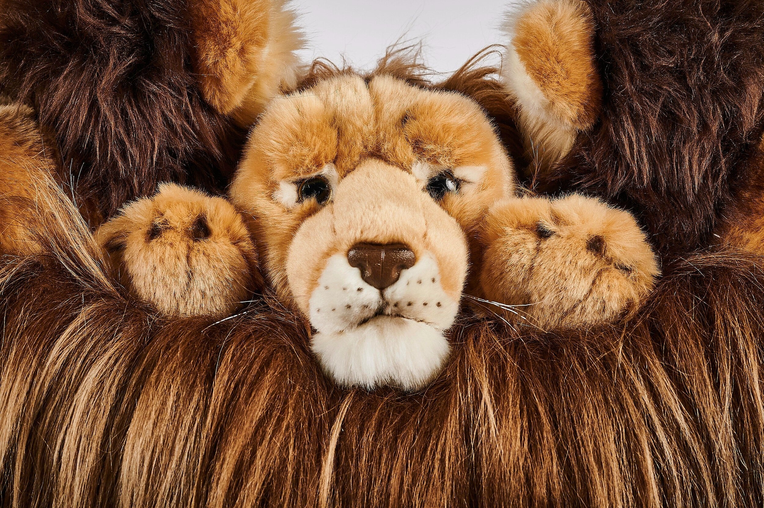 Lion King Lounge Chair by AP Collection - Image 8