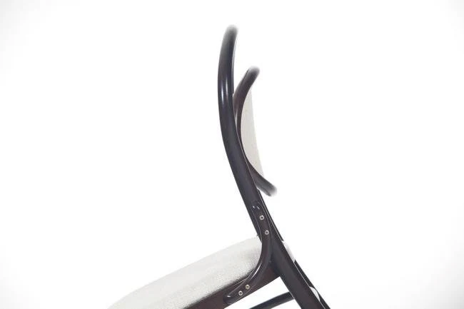 Michael Thonet No. 20 Bentwood Chair (Cane Back) by Ton - Image 18
