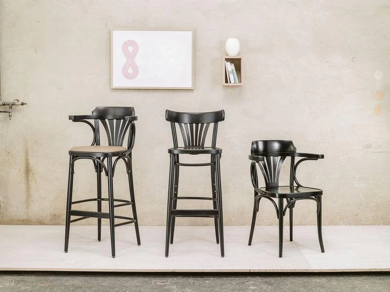 Michael Thonet No. 25 Bentwood Chair by Ton - Image 13