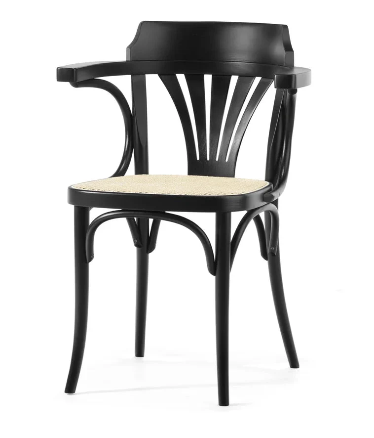Michael Thonet No. 25 Bentwood Chair by Ton - Image 14