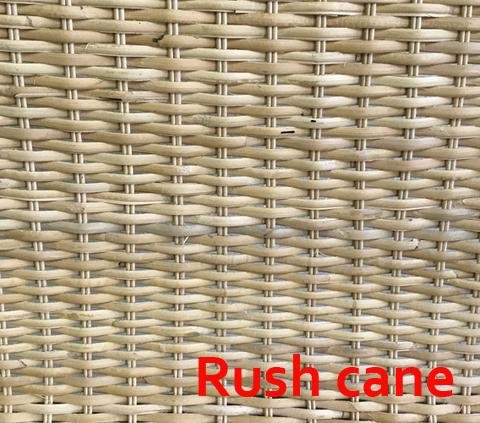 Mies van der Rohe Cantilever Cane Armchair - Image 2
