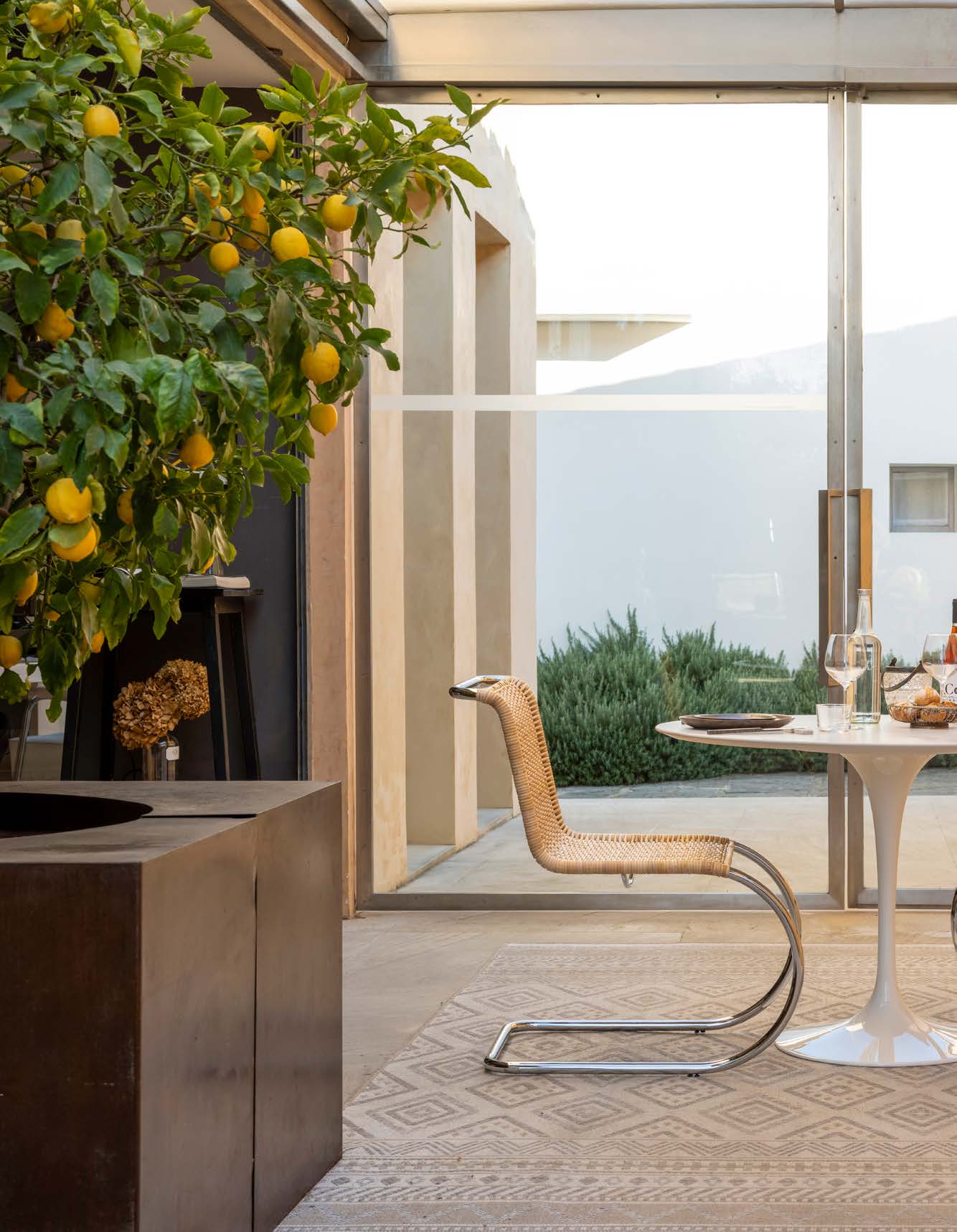 Mies van der Rohe Cantilever Cane Chair - Image 4