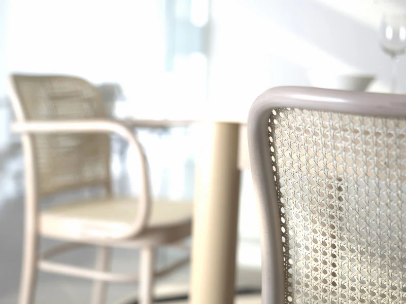 No. 811 Bentwood Chair by Ton - Cane Back - Image 16