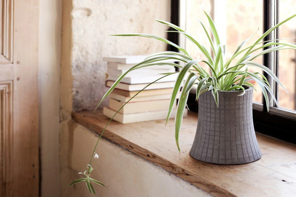 Nuclear Plant 320 Planter by Lyon Beton - Image 7