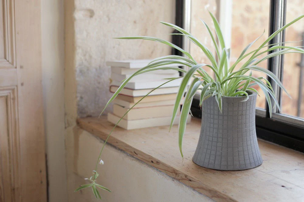 Nuclear Plant 320 Planter by Lyon Beton - Image 9