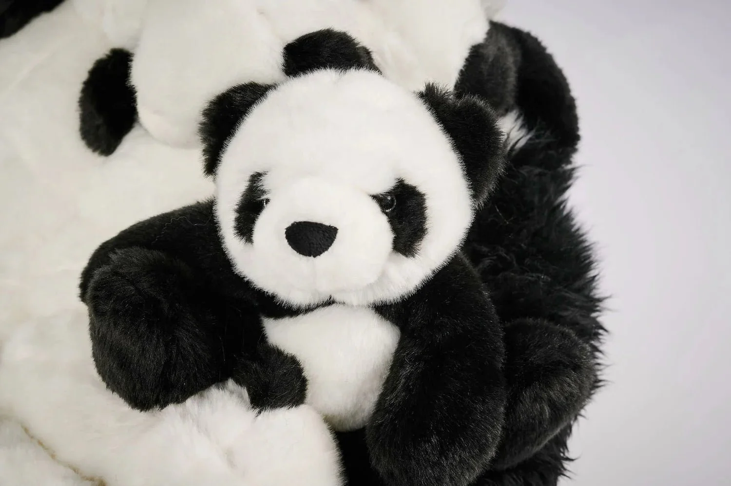Panda Lounge Chair by AP Collection - Image 7