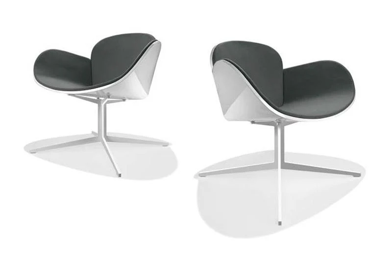 Parri Coccolona Lounge Chair by Casprini - Image 3