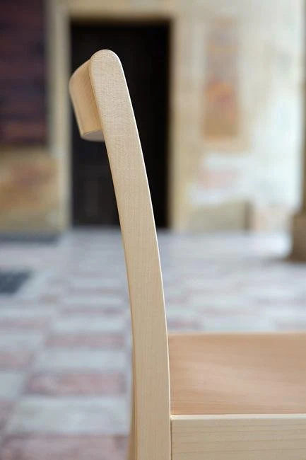 Quattrogambe Chair by BBB - Image 9