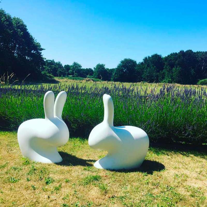 Rabbit Chair by Qeeboo - Image 16