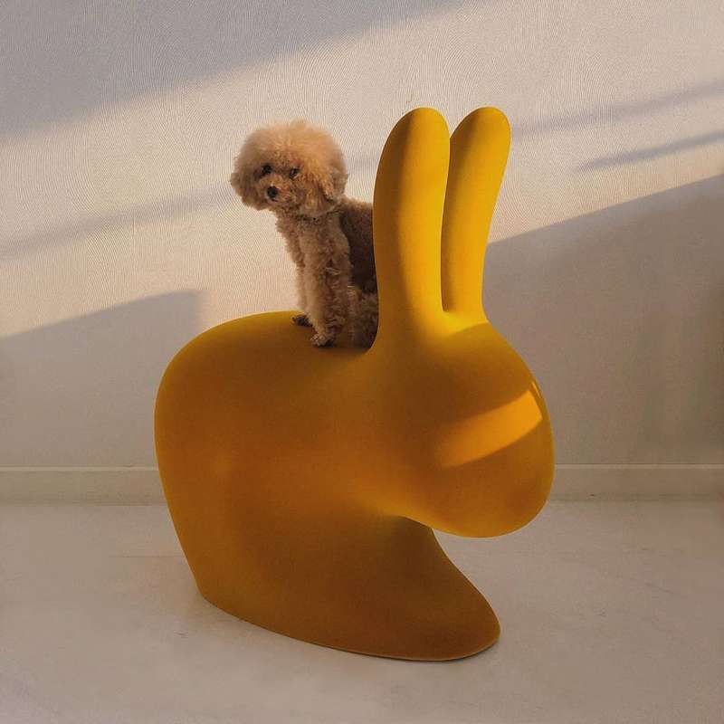 Rabbit Chair Velvet Finish by Qeeboo - Image 24