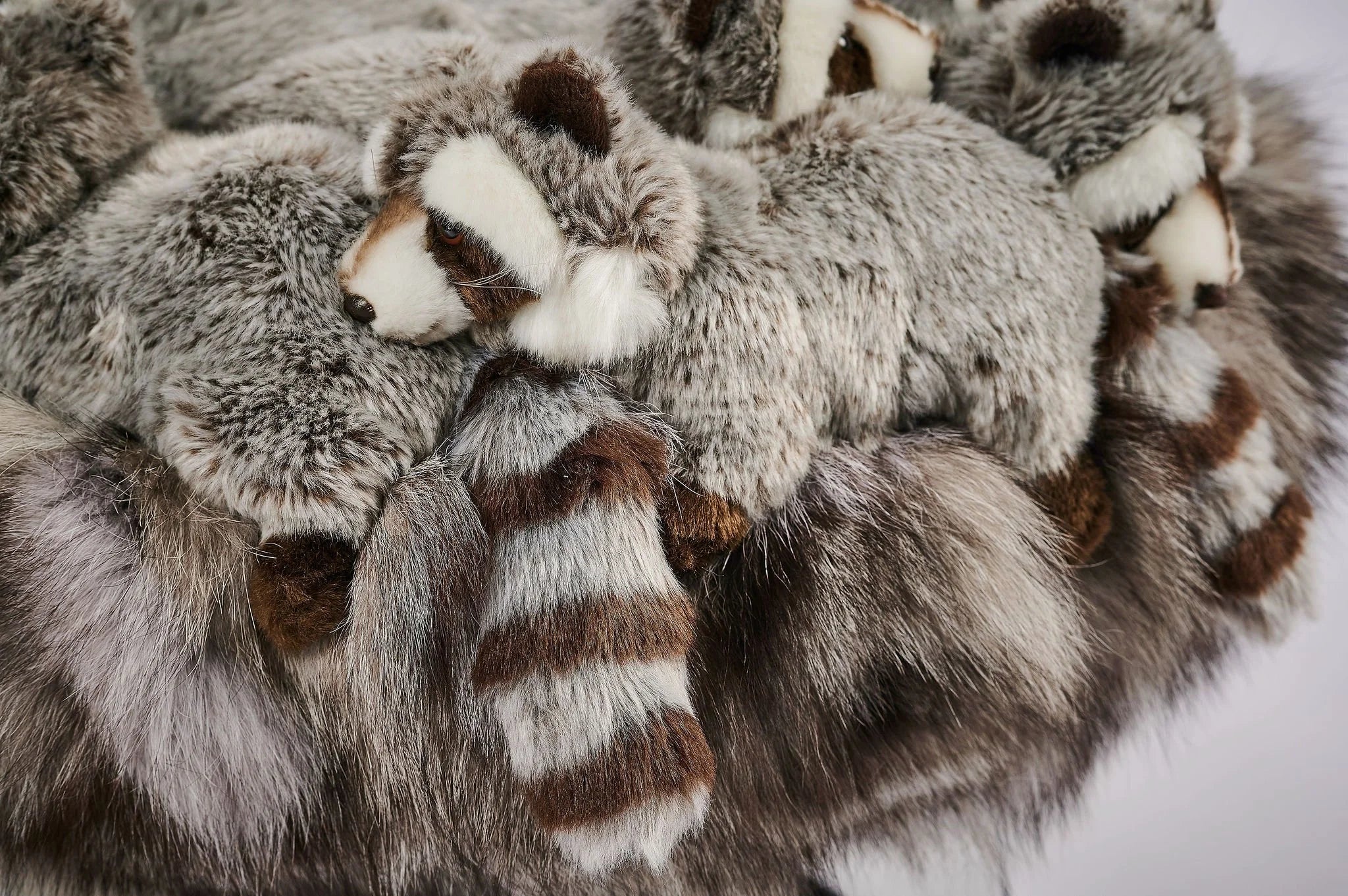 Raccoon Pouf by AP Collection - Image 4