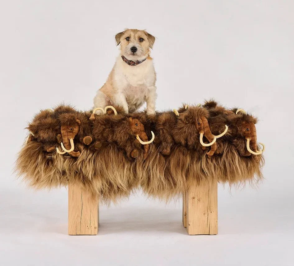 Small Mammoth Wood Bench by AP Collection - Image 4