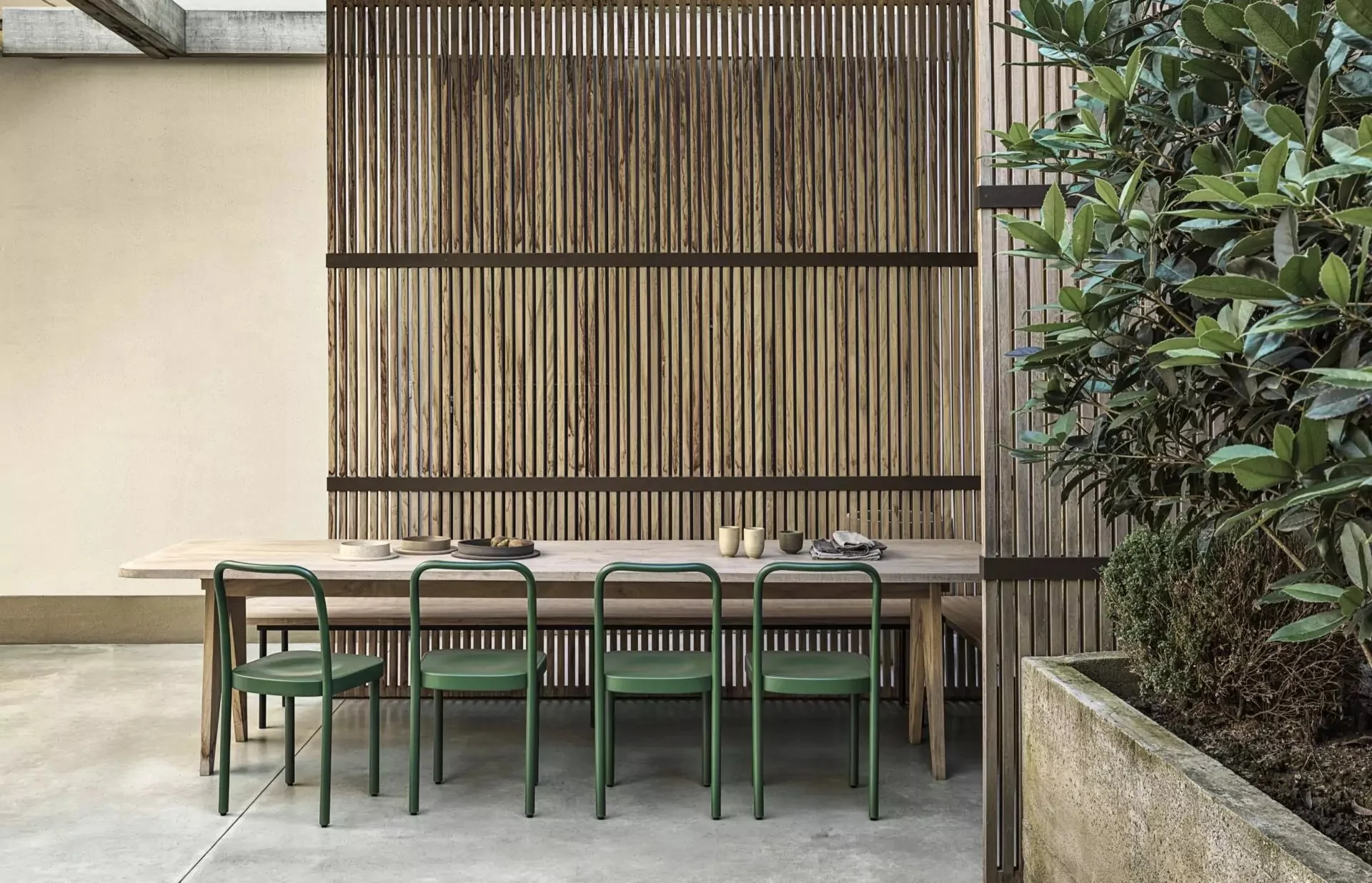 Sugiloo Bentwood Chair by GTV - Image 2